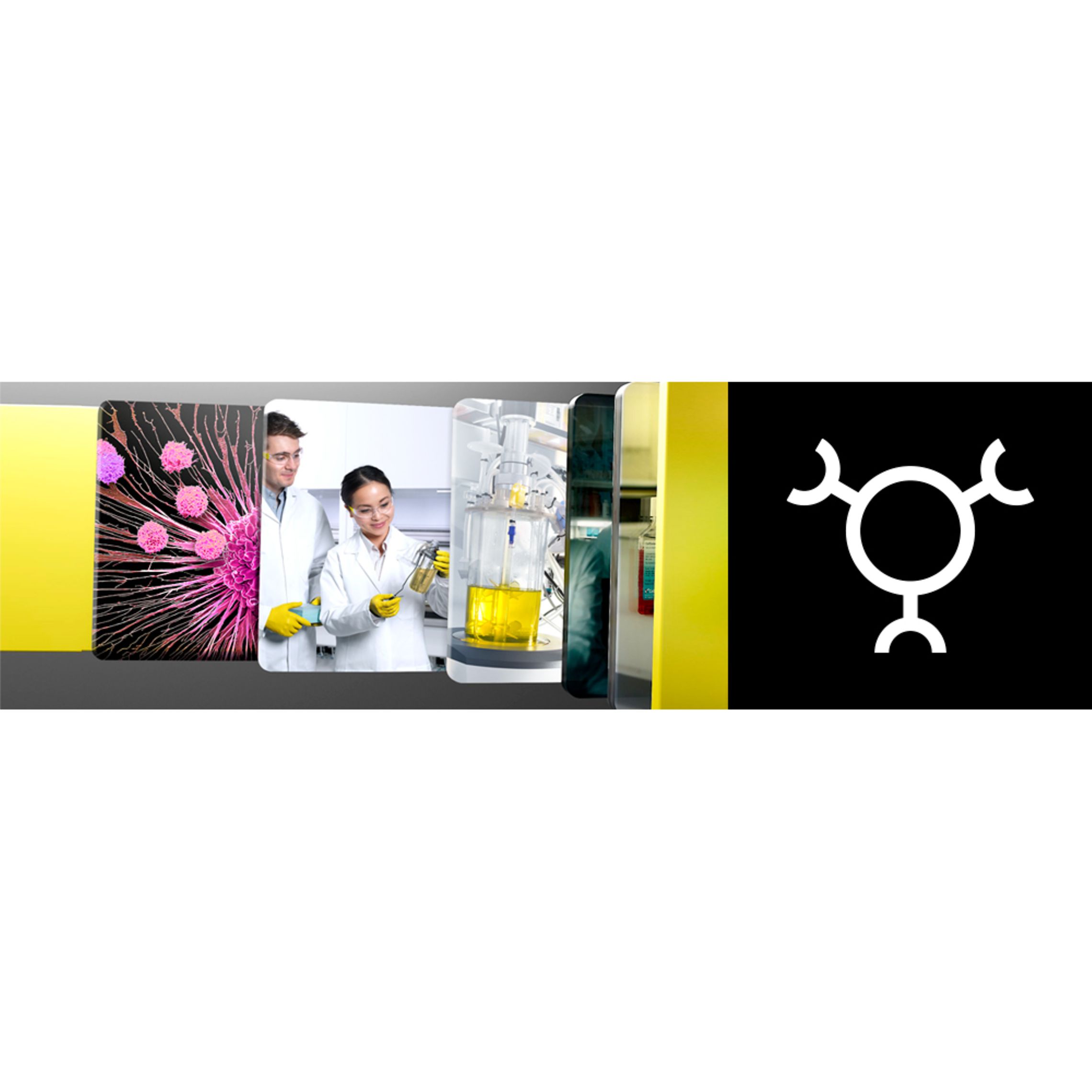 Webinar Journey to Titer-scale Car-T cell production with perfusion